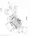 Fig. 16 - Method and apparatus for penetrating tissue