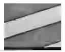 Fig. 01 - Carbon nanotube structures in sensor apparatuses for analyzing biomarkers in breath samples