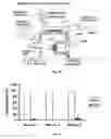 Fig. 05 - DEVICE AND METHOD OF USING SUPERPARAMAGNETIC NANOPARTICLES IN TREATMENT AND REMOVAL OF CELLS