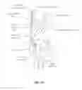Fig. 05 - Snaring systems and methods