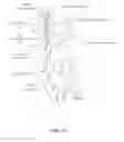 Fig. 07 - Snaring systems and methods
