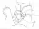 Fig. 01 - Methods and Apparatus For Treating Spinal Stenosis