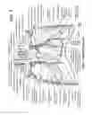 Fig. 02 - Method and system for preventing nerve injury during a medical procedure