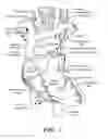 Fig. 03 - Method and system for preventing nerve injury during a medical procedure