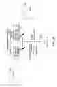 Fig. 08 - METHODS AND SYSTEMS FOR LICENSING SOUND RECORDINGS USED BY DIGITAL MUSIC SERVICE PROVIDERS