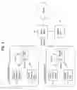 Fig. 09 - Digital broadcasting system and method of processing data in digital broadcasting system
