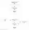 Fig. 09 - Access control method and system for packet data network, PCRF entity