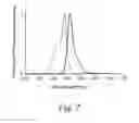 Fig. 03 - Green fluorescent protein optimized for expression with self-cleaving polypeptides