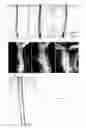 Fig. 06 - COMPOSITIONS AND METHOD FOR MODULATING PLANT ROOT HAIR DEVELOPMENT