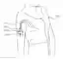 Fig. 01 - Tattoo Clothing
