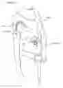 Fig. 03 - Tattoo Clothing