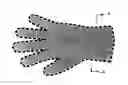 Fig. 01 - Tea Extract Coated Glove