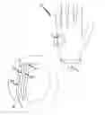 Fig. 01 - Protective garments and materials therefor