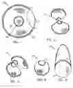 Fig. 02 - Sunbrella-sunscreen