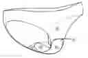 Fig. 01 - WOMAN'S UNDERGARMENT