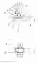 Fig. 04 - INTERCHANGEABLE TOOTH BRUSH AND ASSOCIATED METHOD FOR PROMOTING ORAL HEALTH