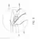 Fig. 06 - WIRING CLIP
