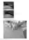 Fig. 05 - Cork outer soled shoes and method for fabrication