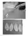 Fig. 06 - Cork outer soled shoes and method for fabrication