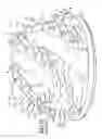 Fig. 14 - Wear assembly for excavating equipment