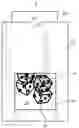 Fig. 01 - Display Device With Transitioning Information