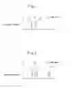 Fig. 05 - EXHAUST PURIFICATION APPARATUS FOR INTERNAL COMBUSTION ENGINE