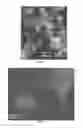 Fig. 02 - ELECTRODE AND SENSOR HAVING CARBON NANOSTRUCTURES