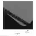 Fig. 03 - ELECTRODE AND SENSOR HAVING CARBON NANOSTRUCTURES