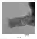 Fig. 04 - ELECTRODE AND SENSOR HAVING CARBON NANOSTRUCTURES