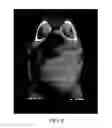 Fig. 09 - Infinite complexity deep-framebuffer rendering