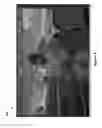 Fig. 08 - Brushing tools for digital image adjustments
