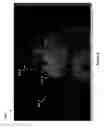 Fig. 09 - Brushing tools for digital image adjustments