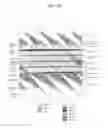 Fig. 07 - Digital broadcasting system and method of processing data