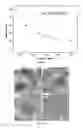 Fig. 02 - Antireflection structures with an exceptional low refractive index and devices containing the same