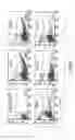 Fig. 09 - NON-INTEGRATING REV-DEPENDENT LENTIVIRAL VECTOR AND METHODS OF USING THE SAME