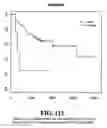 Fig. 114 - Diagnostic methods for determining prognosis of non-small cell lung cancer