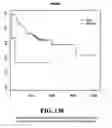 Fig. 131 - Diagnostic methods for determining prognosis of non-small cell lung cancer