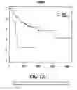 Fig. 132 - Diagnostic methods for determining prognosis of non-small cell lung cancer
