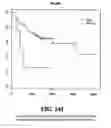 Fig. 142 - Diagnostic methods for determining prognosis of non-small cell lung cancer