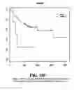 Fig. 151 - Diagnostic methods for determining prognosis of non-small cell lung cancer