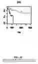 Fig. 36 - Diagnostic methods for determining prognosis of non-small cell lung cancer