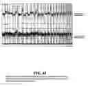 Fig. 62 - Diagnostic methods for determining prognosis of non-small cell lung cancer