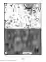 Fig. 09 - Aerosol generator