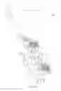 Fig. 11 - Comb