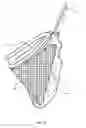 Fig. 06 - Golf towel with dry and wet section