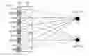 Fig. 01 - Parallax barrier filter