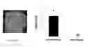 Fig. 01 - Primitive vascular progenitor cells and uses thereof