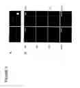 Fig. 09 - Primitive vascular progenitor cells and uses thereof