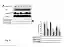 Fig. 10 - Wortmannin Analogs and Methods of Using Same in Combination with Chemotherapeutic Agents