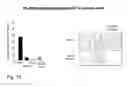 Fig. 18 - Wortmannin Analogs and Methods of Using Same in Combination with Chemotherapeutic Agents